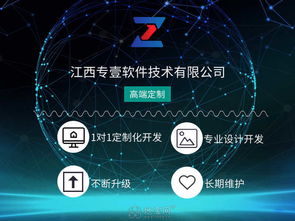 專業軟件系統開發哪家好