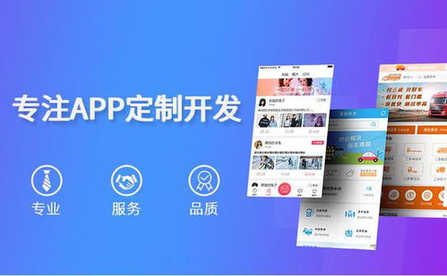 石家莊做軟件的公司