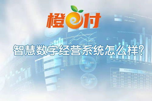 智慧數字經營系統軟件開發定制,零售業解決方案
