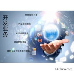 開發(fā)業(yè)務(wù) 軟件定制開發(fā)