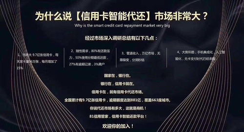信用卡代還軟件開發(fā),中介代還軟件開發(fā) 定制源碼