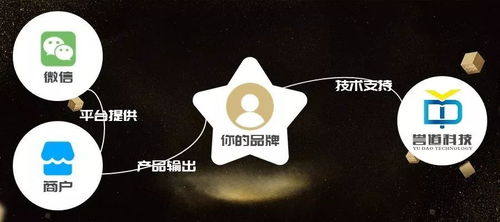 手機上看不到的線下店,等于不存在 靠什么拯救8000萬線下店