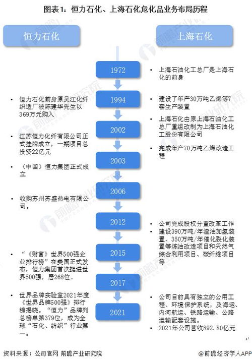 干貨 2022年中國危化品行業(yè)龍頭企業(yè)對(duì)比 恒力石化pk上海石化 誰是中國危化品之王